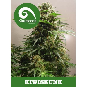 Kiwiskunk Kiwi Seeds