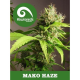 Mako Haze Kiwi Seeds
