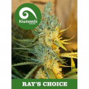 Ray´s Choice kiwi Seeds