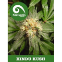 Hindu Kush Kiwi Seeds
