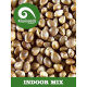 Indoor Mix Kiwi Seeds