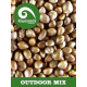 Outdoor Mix Kiwi Seeds