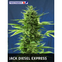 Jack Diesel Express Positronics Seeds