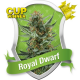 Royal Dwarf Auto Royal Queen Seeds