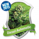 Diesel Automatic Royal Queen Seeds