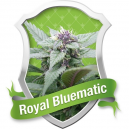 Royal Bluematic Auto Royal Queen Seeds