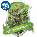 Royal Cheese Automatic Royal Queen Seeds