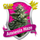Amnesia Haze Royal Queen Seeds