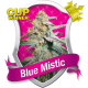 Blue Mistic Royal Queen Seeds