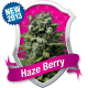 Haze Berry Royal Queen Seeds