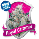 Royal Caramel Royal Queen Seeds