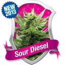 Sour Diesel Royal Queen Seeds