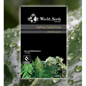 Sativa Collection 20 Semillas Regulares