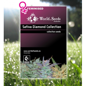 Sativa Diamond Collection 8 Semillas Feminizadas