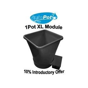 1 Pot XL