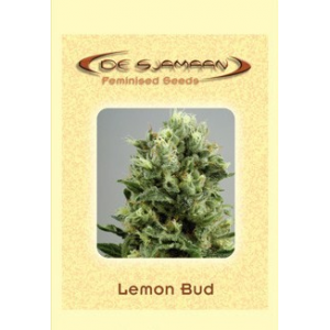 Lemon Bud De Sjamaan Seeds