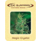 Magic Crystal De Sjamaan Seeds
