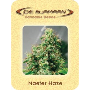 Master Haze De Sjamaan Seeds