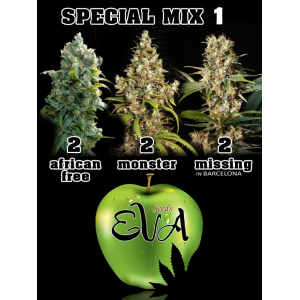 Special Mix 1 Eva Seeds