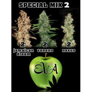Special Mix 2 Eva Seeds